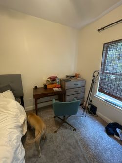 Bed, Dresser, Desk