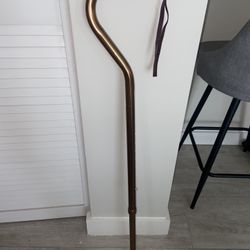 Walking Cane