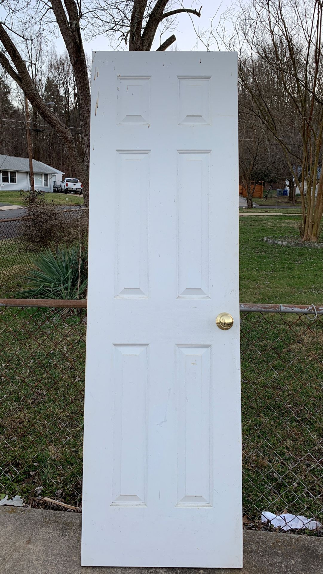 80x24 inch door
