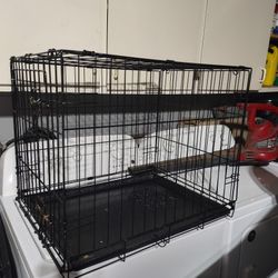 Dog Crate