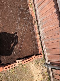 Set of Wire Tomato Cages - Metal Garden Plant Supports⁠