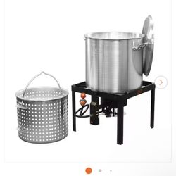 100 qt. Propane Single Burner Boiling Kit in Stainless