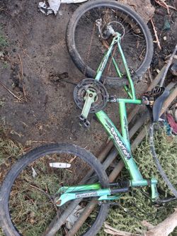 Green Mountain Bike