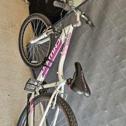 2 Bicycles Each Of Them Different Price!!