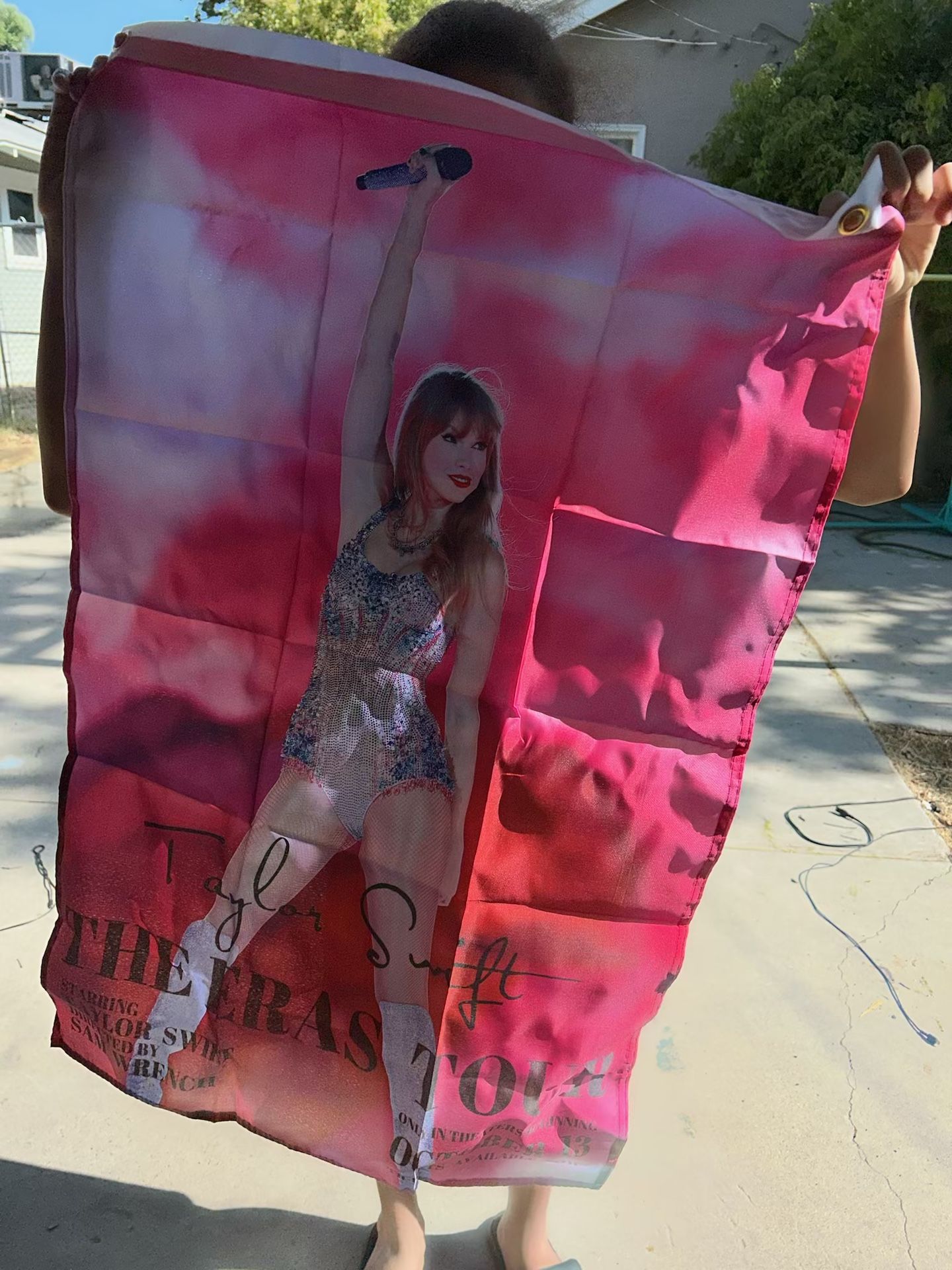 Taylor Swift Flag
