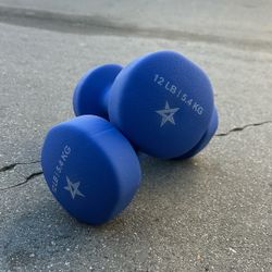 12 Lb Workout Weights 