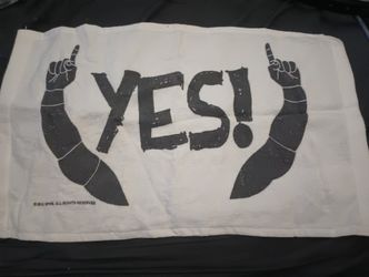 WWE 2013 Daniel Bryan YES hand Souvenir Mini Towel
