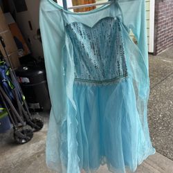 Disney Princess Elsa Dress