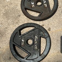 2 CAP Barbell 2-Inch Olympic Weight Plates