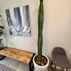 7’ Tall Cactus in Large White Ceramic Planter