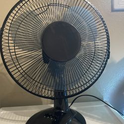 Fan