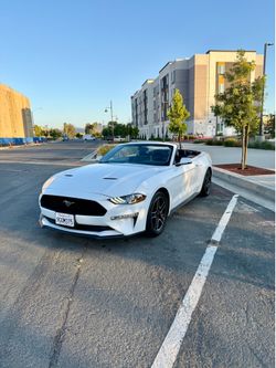 2019 Ford Mustang