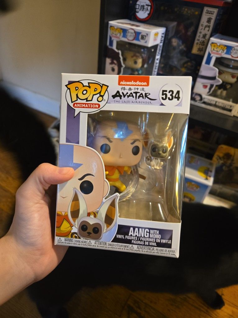 Aang With Momo Funko Pop