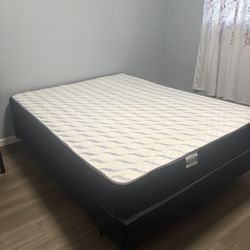 Queen Size Bed 