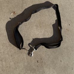 Dog Leash