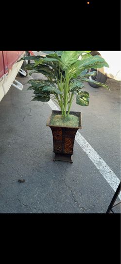 Nice decoration