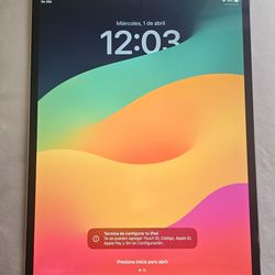 iPad Pro 10.5-inch  256GB---- modelo A1709 battery 88%