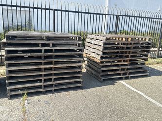 20 Pallets for free