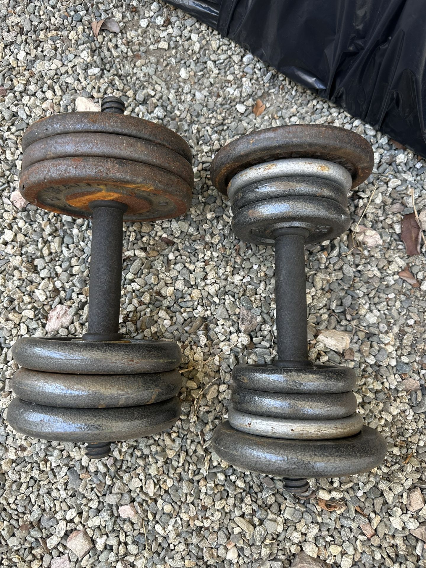 2 Dumbbells With Weights
