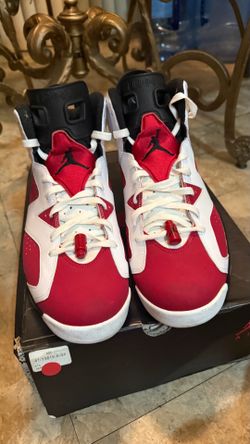 Air Jordan 6 Carmine Size 13