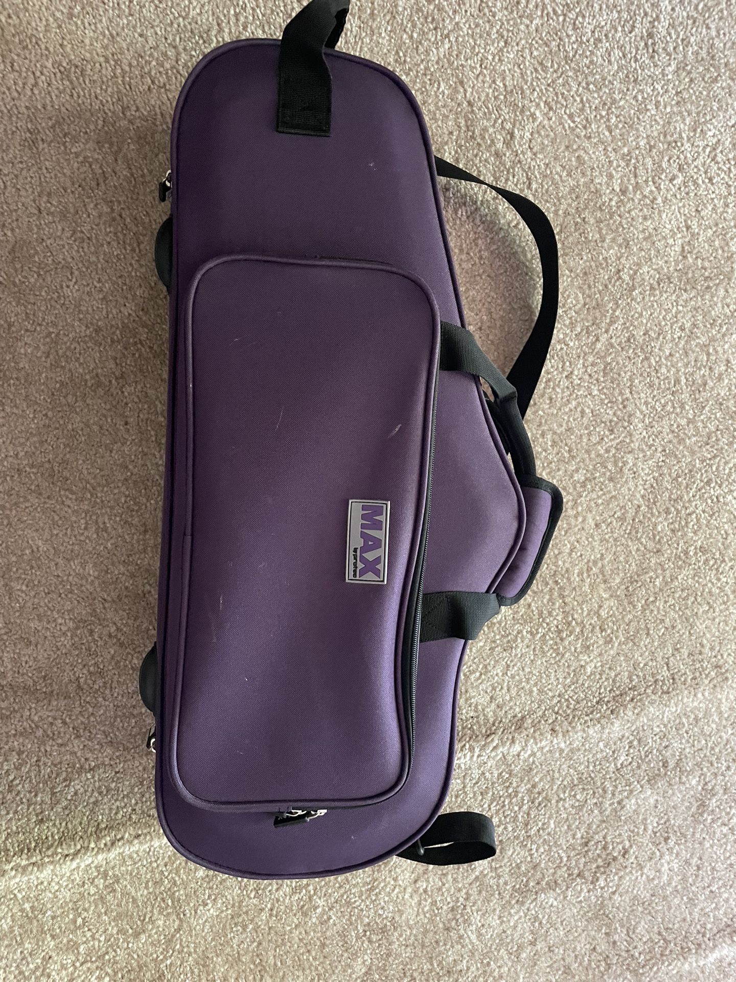 Alto Saxophone Case