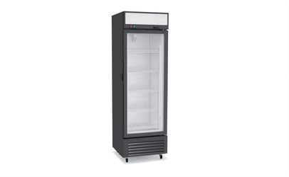 NSF 329L One glass door freezer Merchandiser Display LSD-329WE