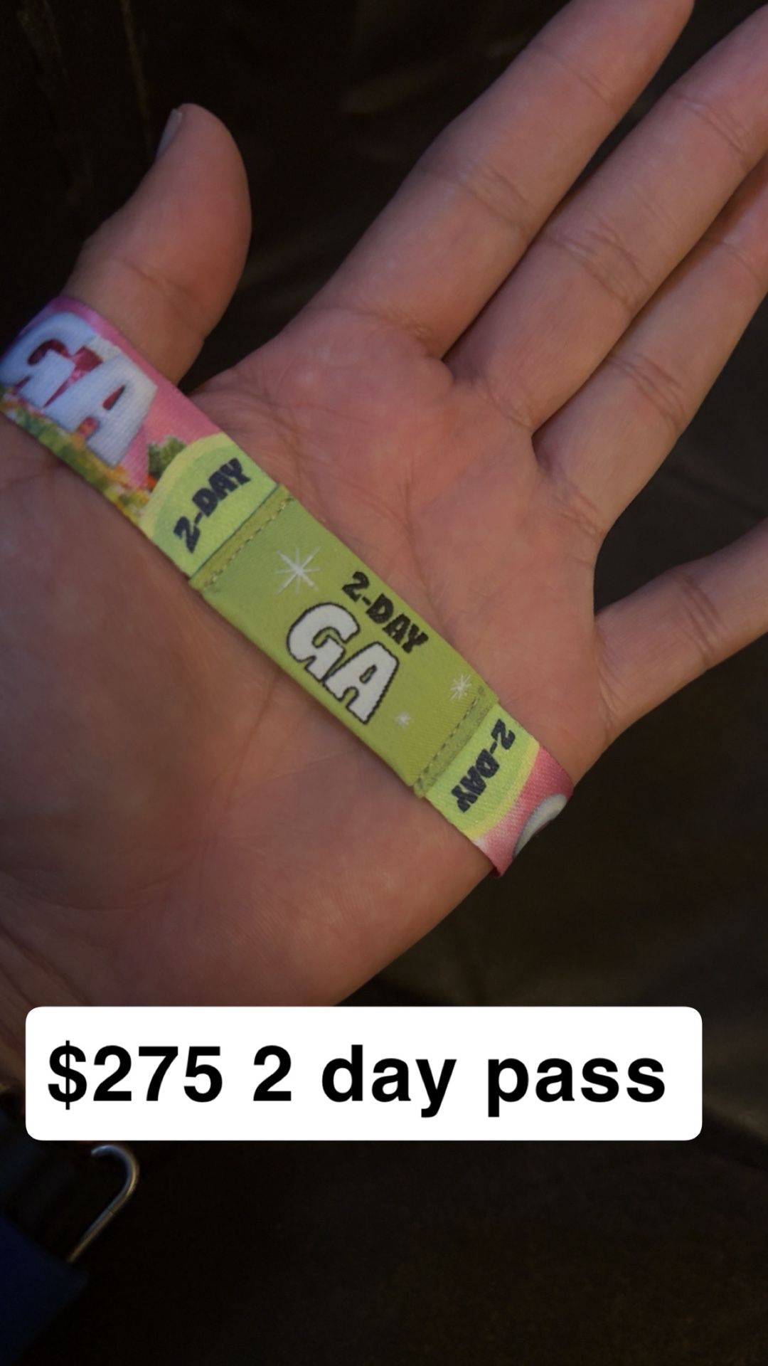 Sueños 2 Day Pass