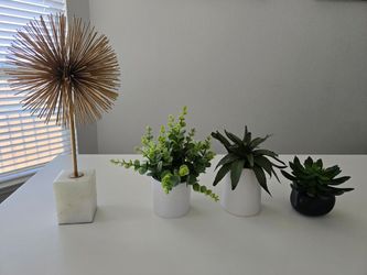 Plants