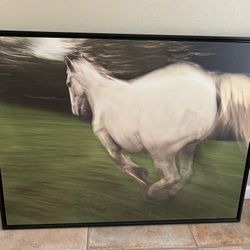 Horse Running Free Large Custom Canvas Print In Black Frame Titled “Horse Running Free” Great Condition