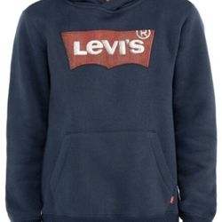 Levi's boys Graphic hoodie