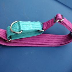 Dog Collar Large By Petco Ref.32