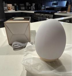 Egg night light