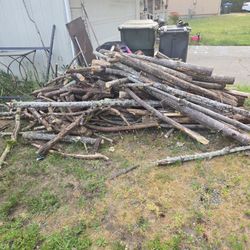 Fire Wood 100