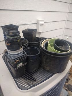 Free plant containers