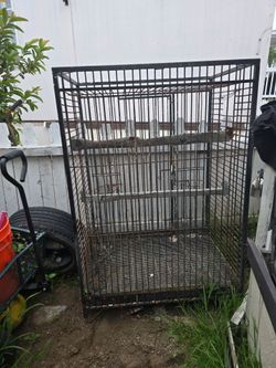 Bird cage