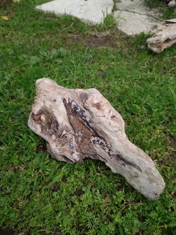 Driftwood For Aquariums Terrariums Decor