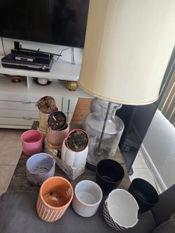 Lot of Terracotta and Ceramic planters feature a variety cute patterns & colors.