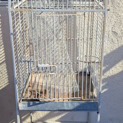 Bird Cage, 60 OBO 