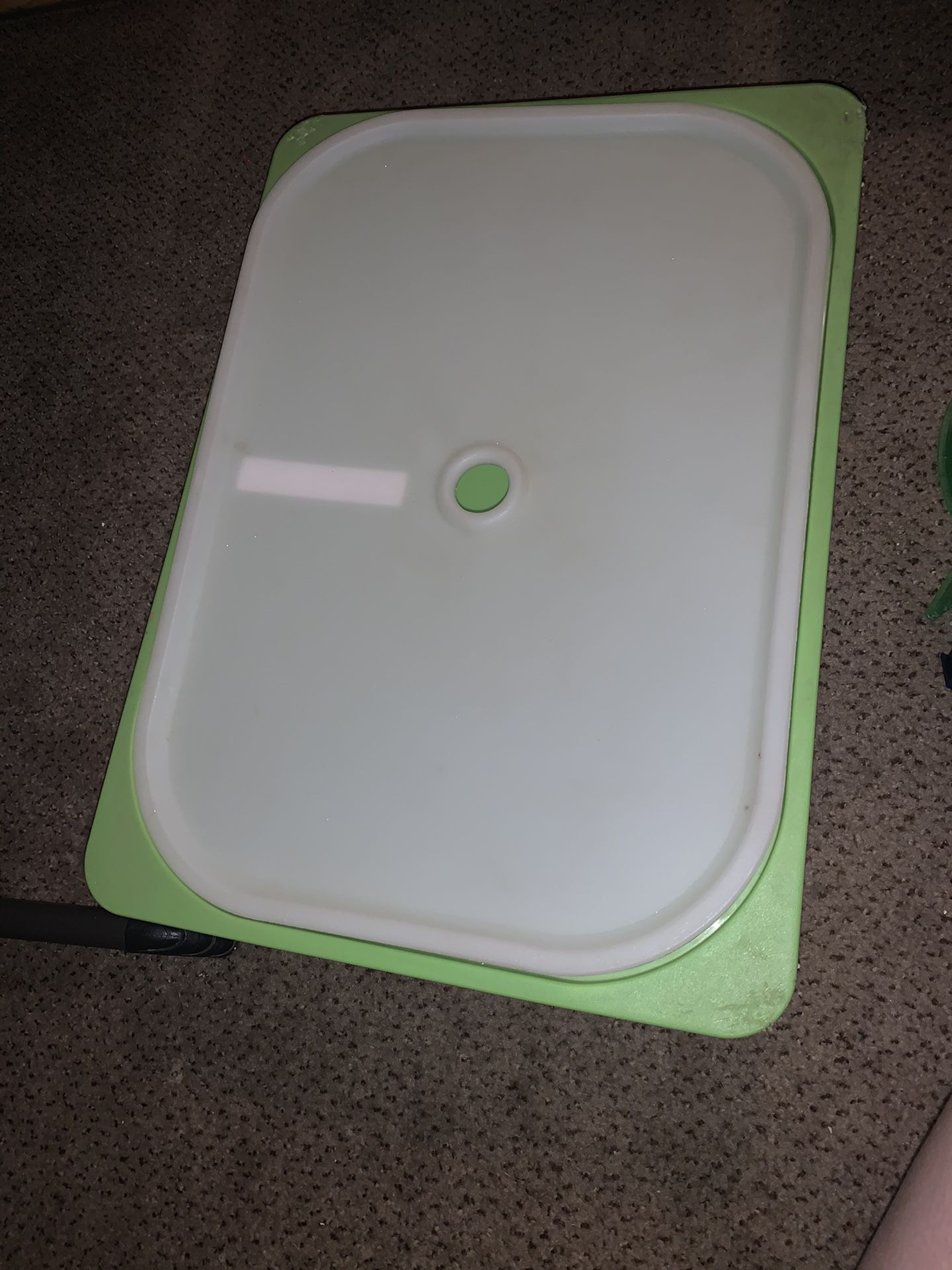 FREE** Green storage container
