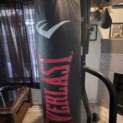 Everlast Punching bag 100 Pound ,stand And Speed bag 