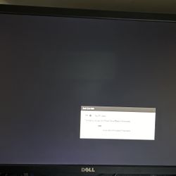 DELL Computer Monitor / Display Screen