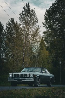 1976 Oldsmobile omega