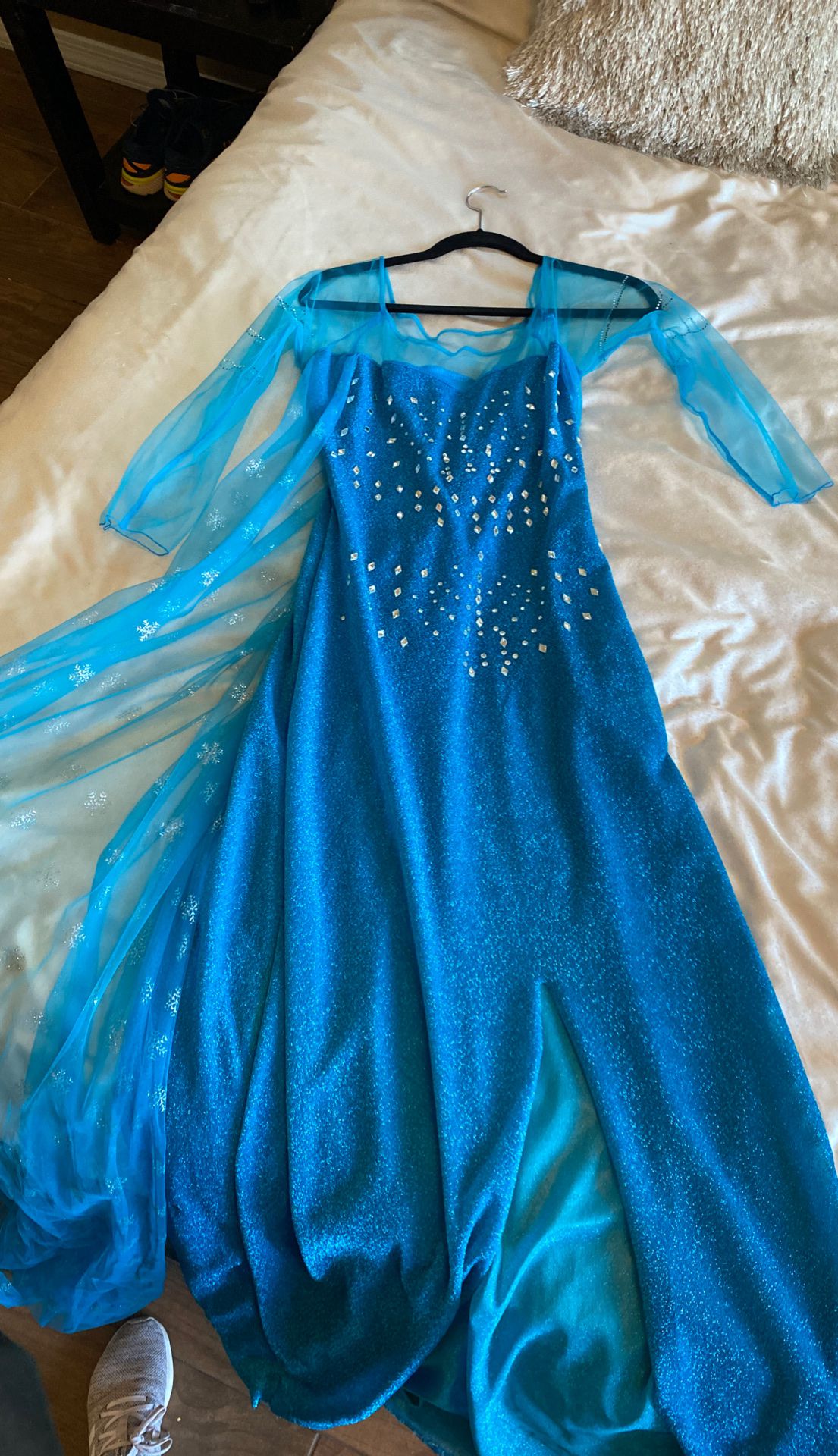 Adult Elsa Frozen costume