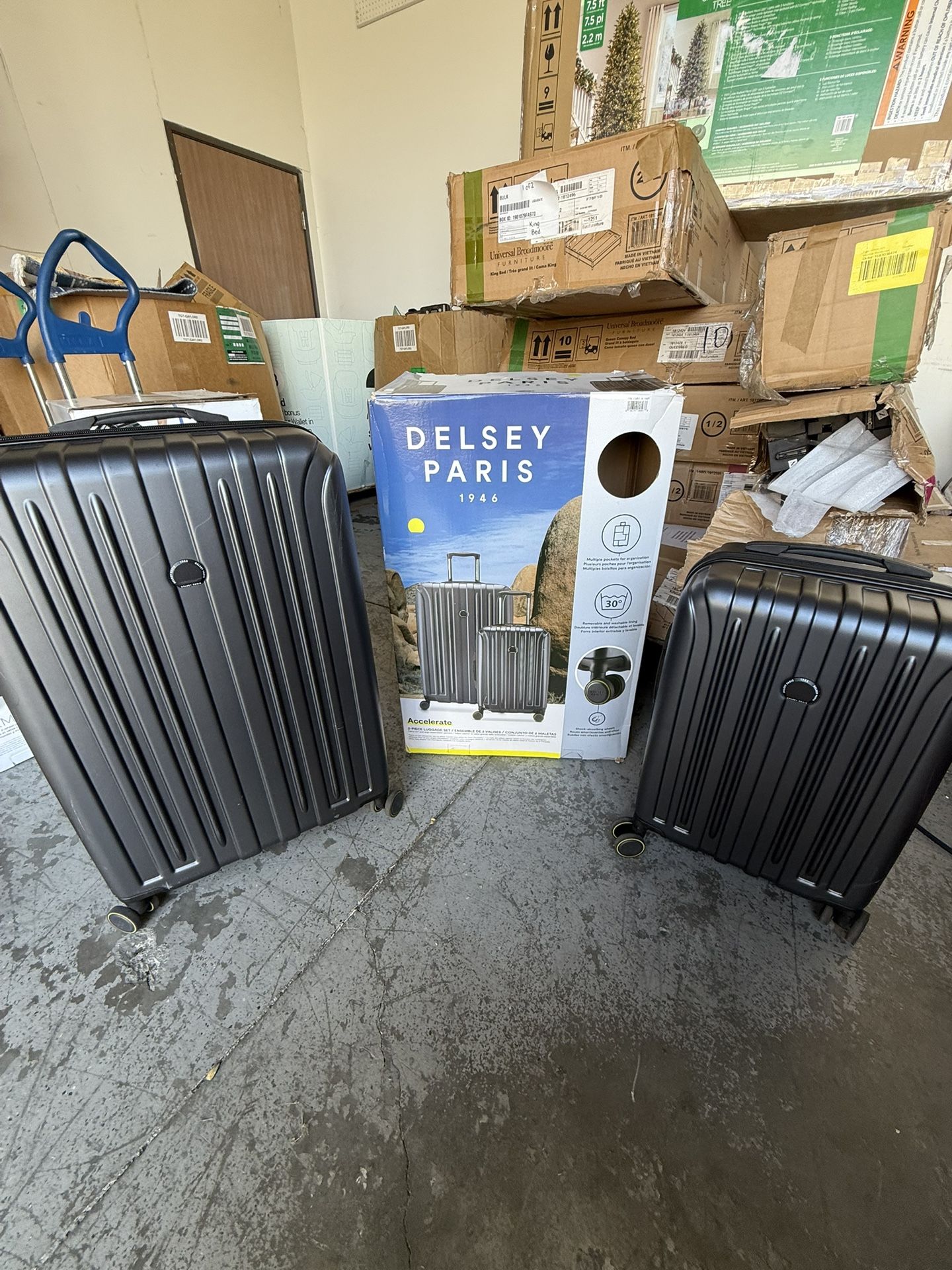 Delsey Paris 1946 Luggage Set Of 2