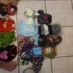 Dog Apparel/accessories 
