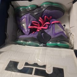 Lebron's Size 12