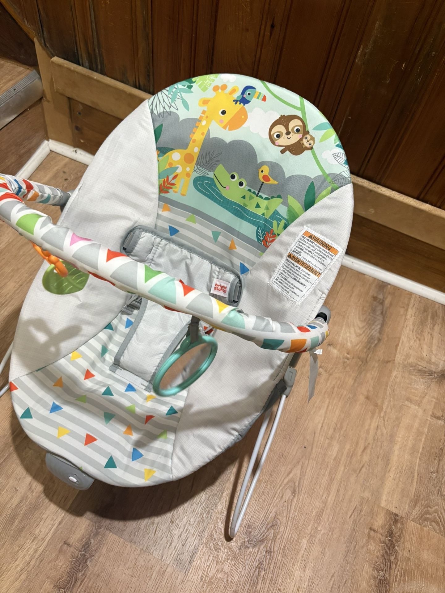 Baby Bouncer