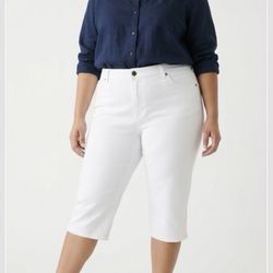 Lane Bryant Caprice New With Tag Size 24