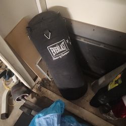Everlast Punching Bag 
