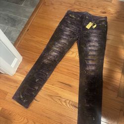 RARE robin jeans 34 MSRP 500